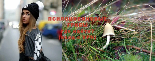 прущие крисы Карпинск
